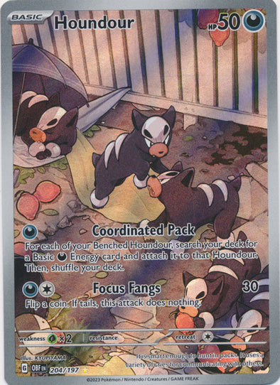 Houndour - 204/197 - Illustration Rare