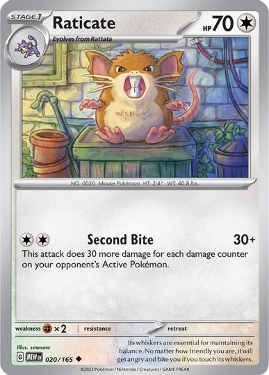 Raticate - 020/165 - Uncommon